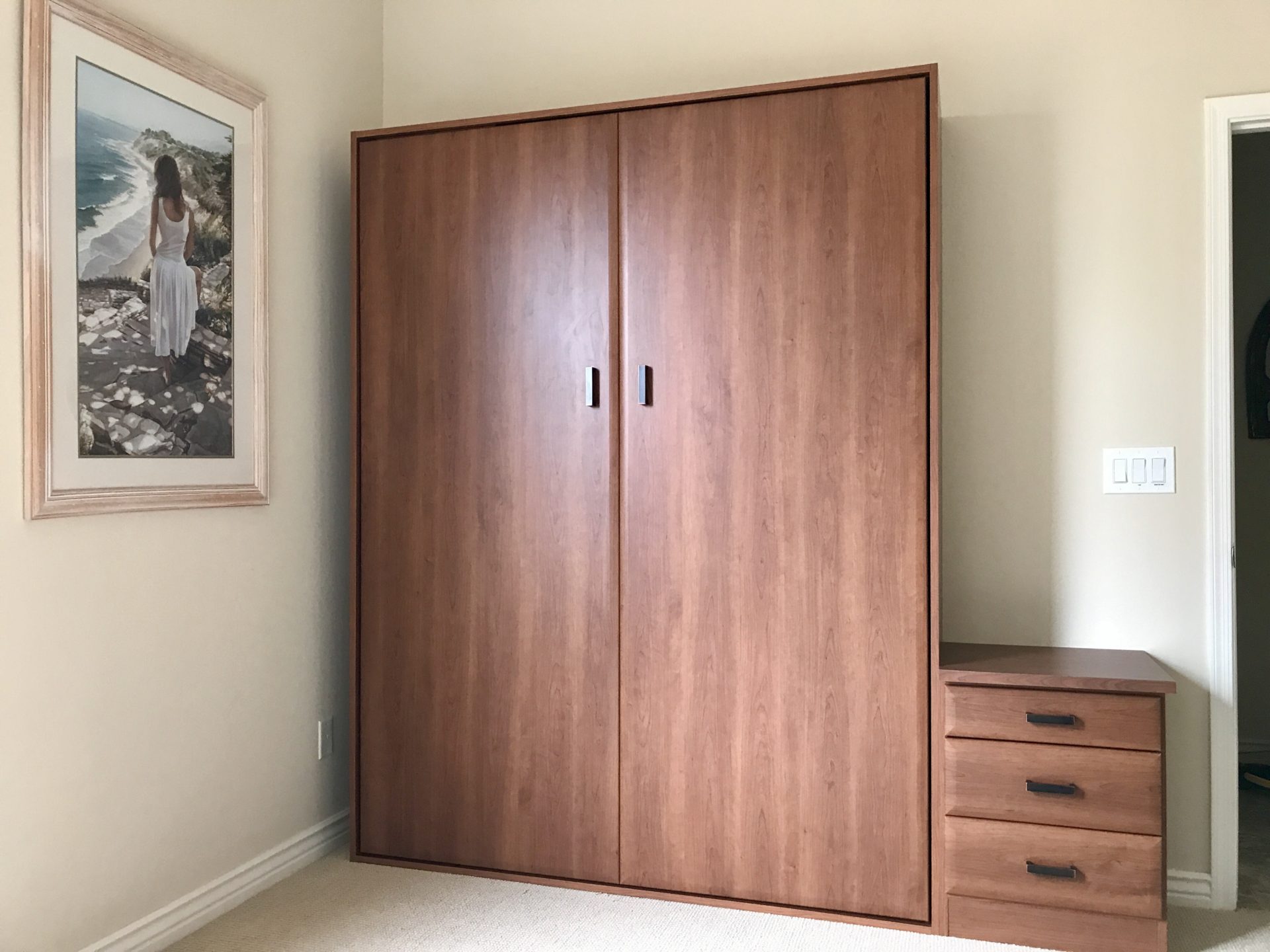 QUEEN MURPHY BED Closets